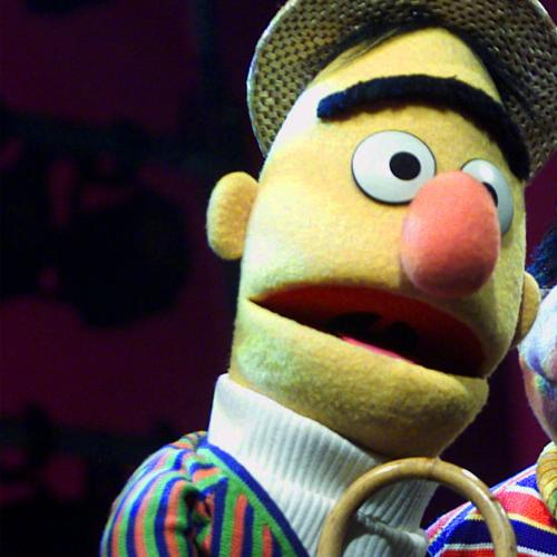 We Now Know The Facts - Are Bert And Ernie Gay?