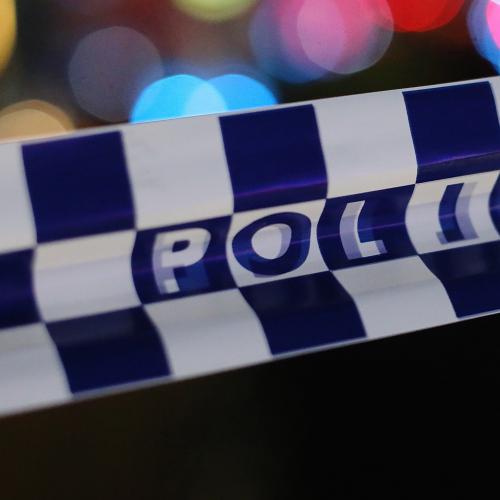Queensland Man Dead, Police Dog Stabbed In Robbery