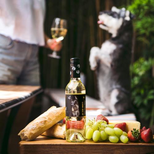 Attention Pet Lovers: We Have the Pawfect Wine For You!