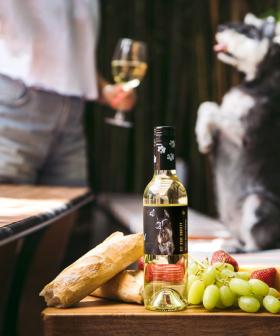 Attention Pet Lovers: We Have the Pawfect Wine For You!