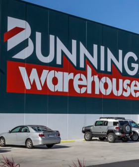 The 99 Cent Bunnings Product That Promises To Sort Your Fly Problem Out Is Stunning Australia