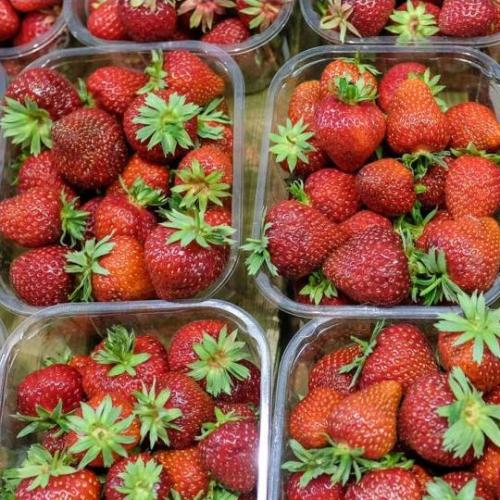 Queensland Farmers Now Offering $100,000 Per Person To Pick Strawberries!
