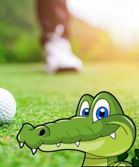 How To Make Golf Interesting... Add An Aligator!
