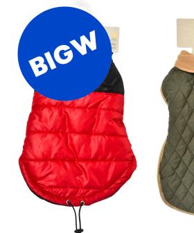 Big W Releases A Winter Coat Line... For Your Pets